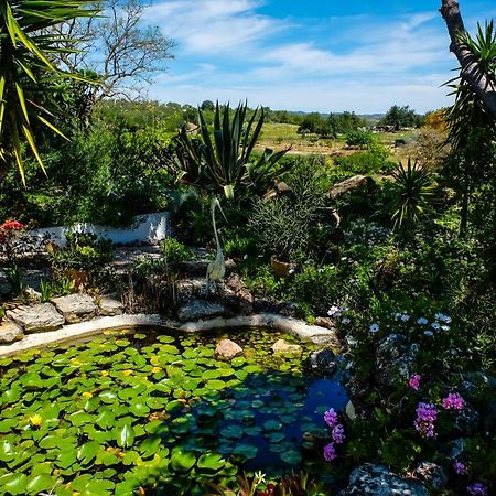 Casa Vale Del Rei Hotel Tavira Kültér fotó