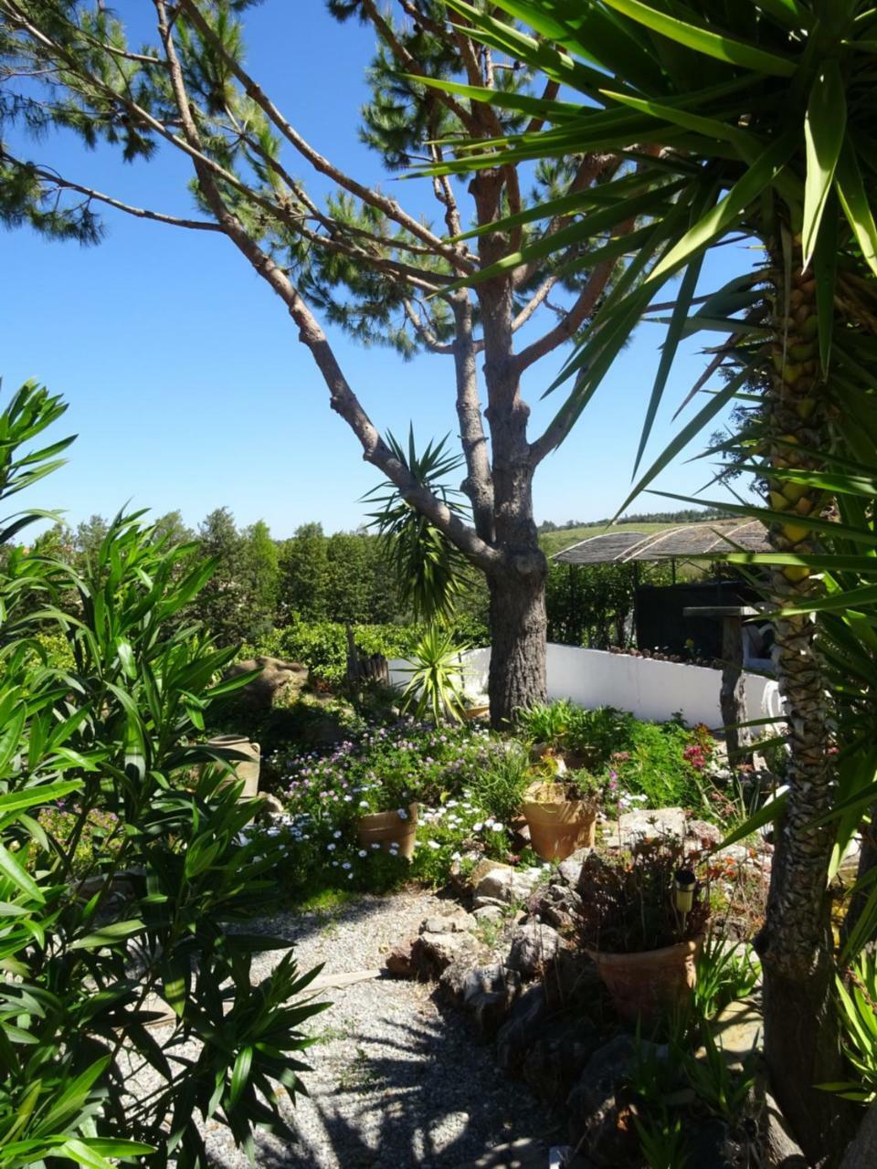 Casa Vale Del Rei Hotel Tavira Kültér fotó